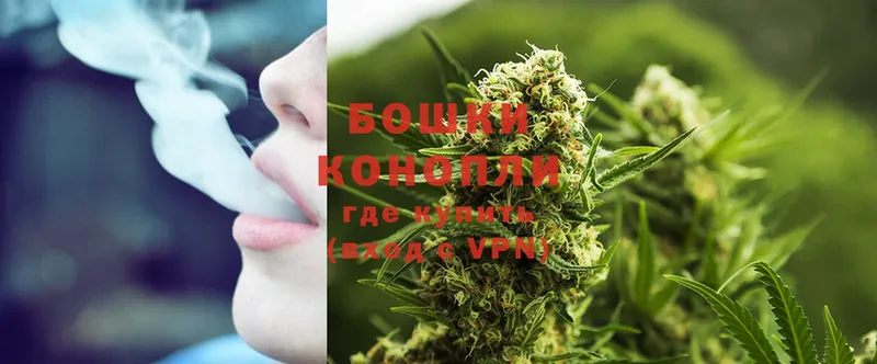 как найти   Хотьково  Конопля White Widow 